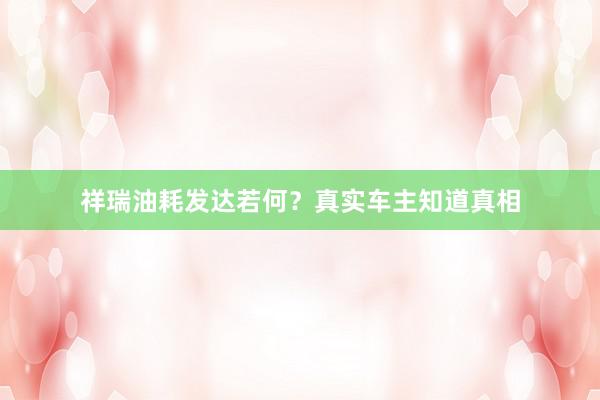祥瑞油耗发达若何？真实车主知道真相